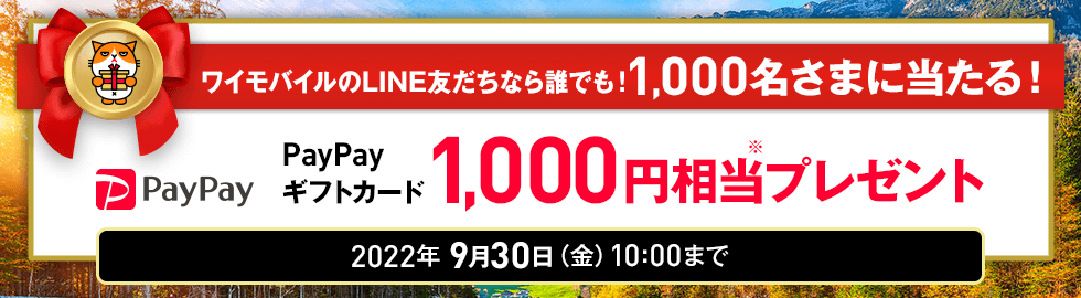 【ワイモバイルLINEキャンペーン】 「PayPayギフトカード 1,000円相当」が当たります！