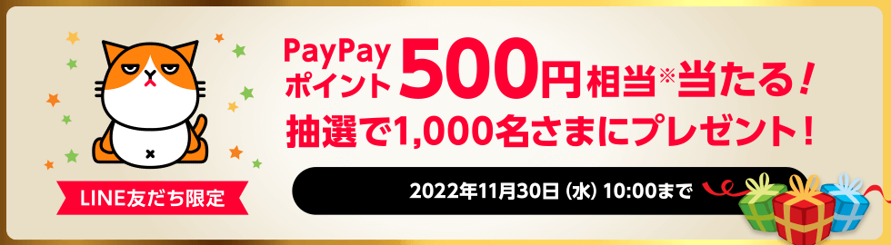 ワイモバイルLINEキャンペーン｜PayPayポイント500円相当